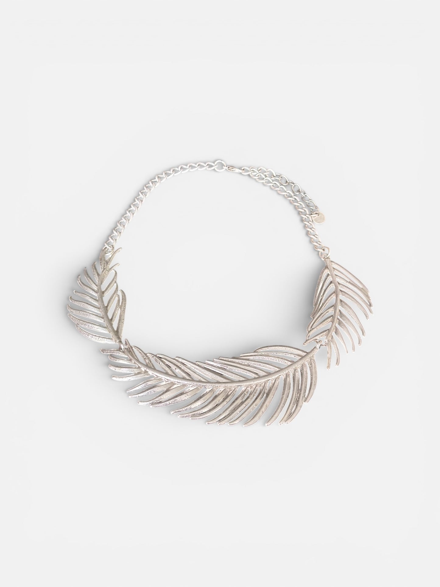 Silver Palm