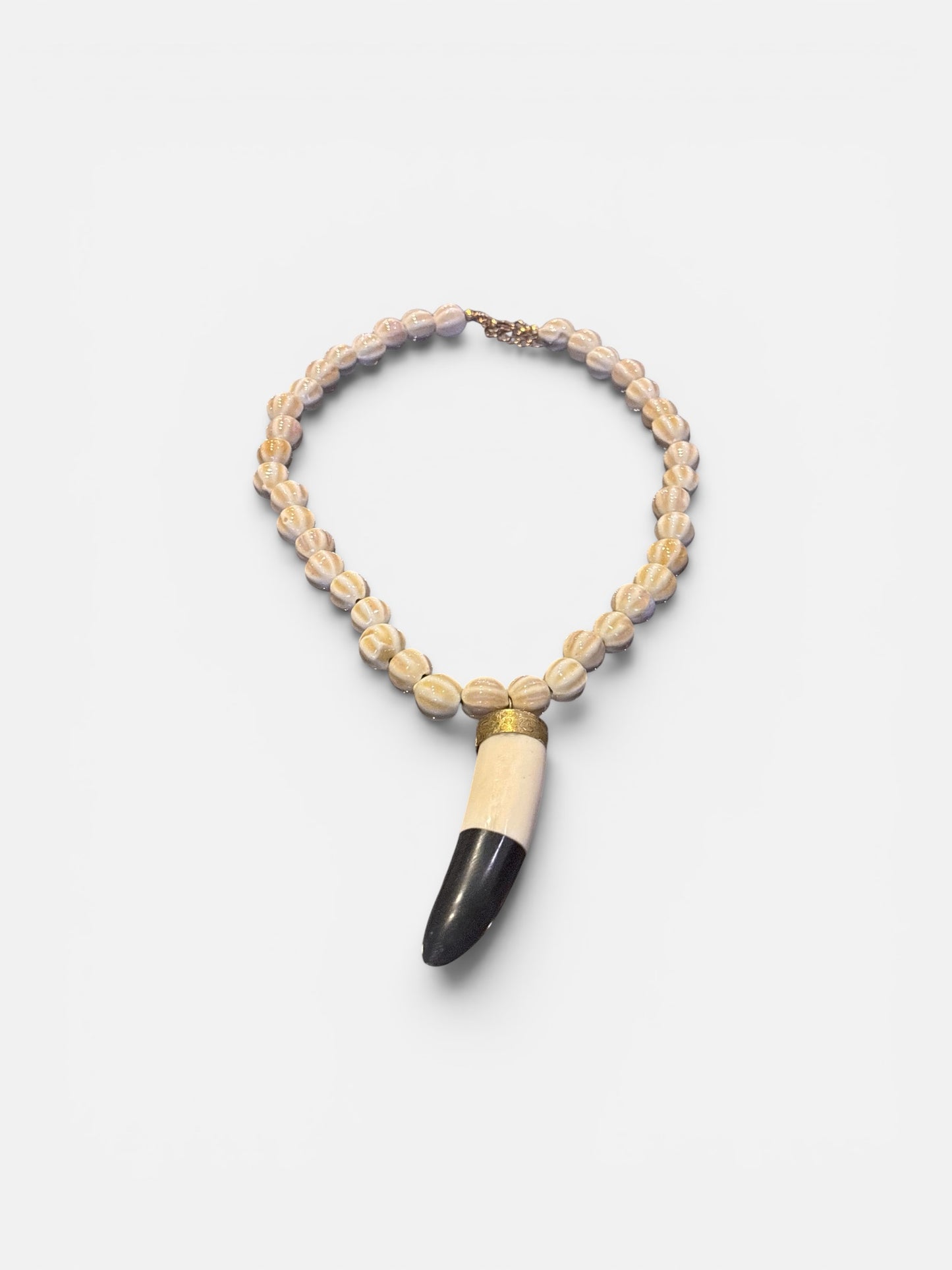 Wild Nomad Horn