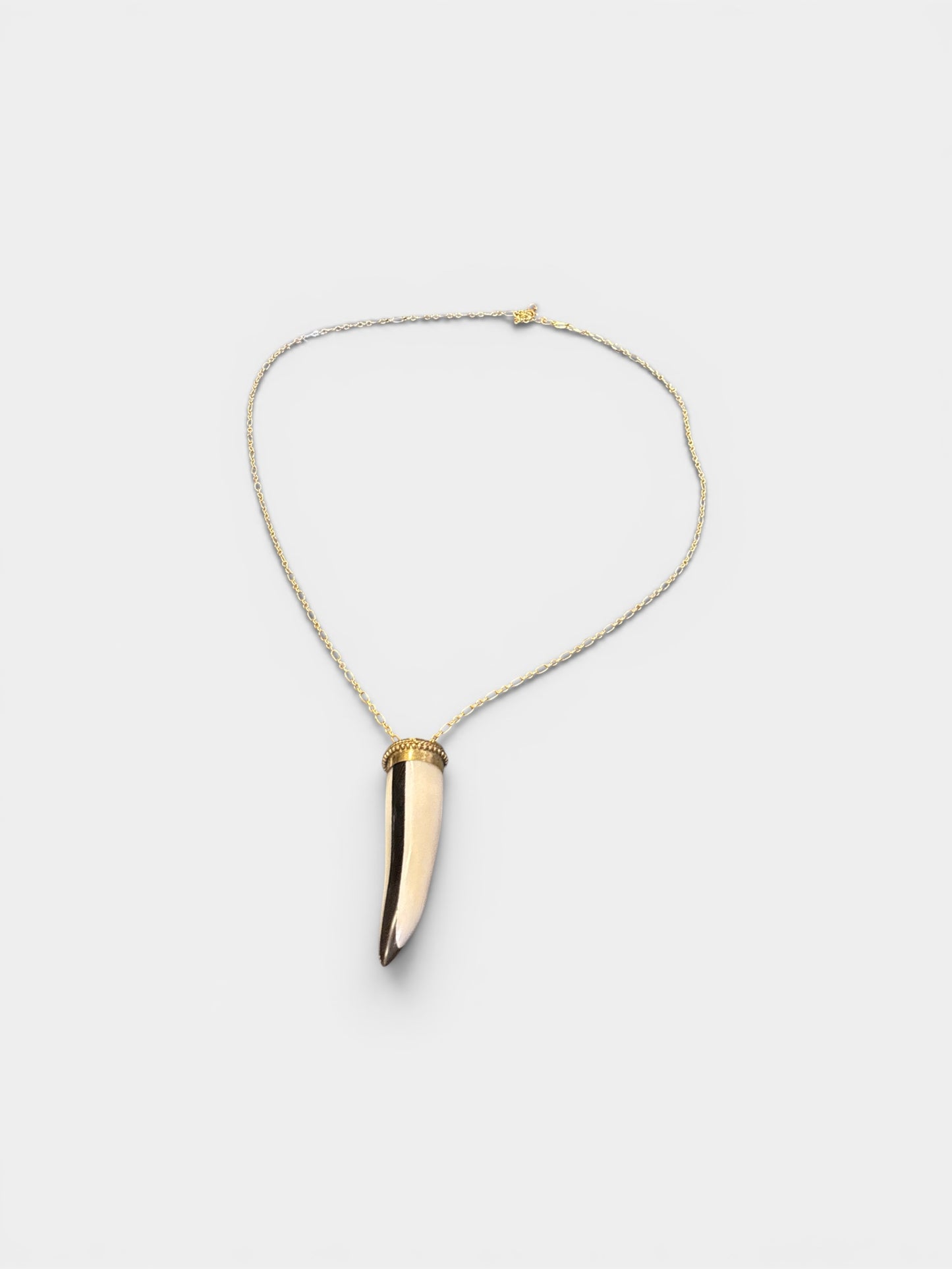 Wild Horn
