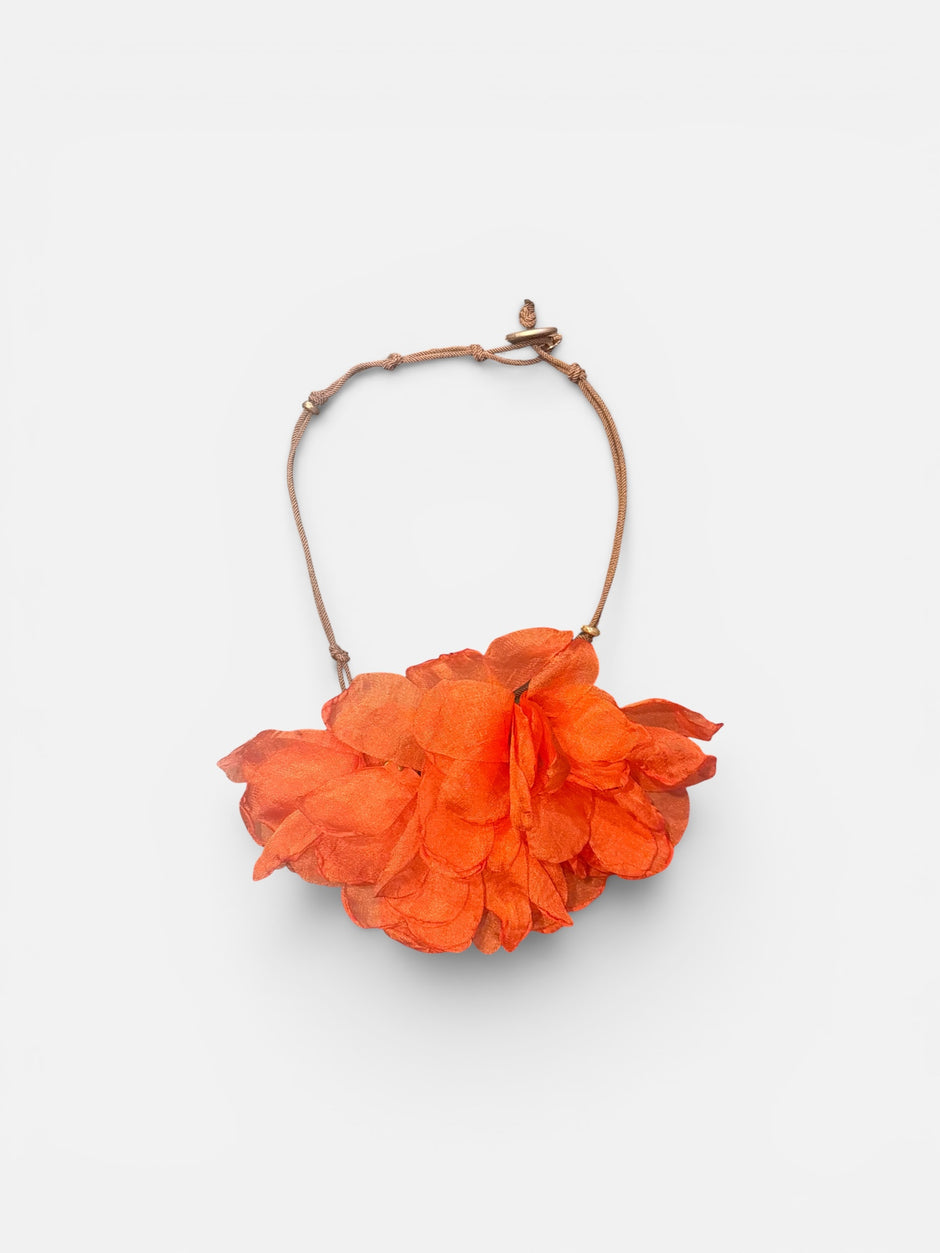 Orange Bloom
