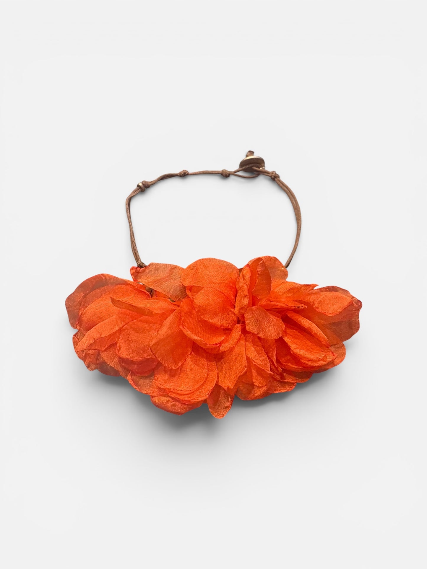 Orange Bloom